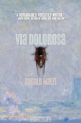 Cover of Via Dolorosa