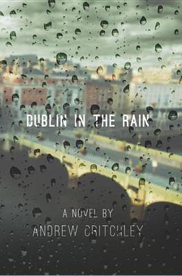 Book cover for Dublin in the Rain