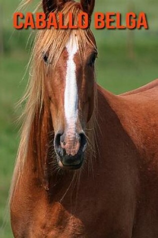 Cover of Caballo belga