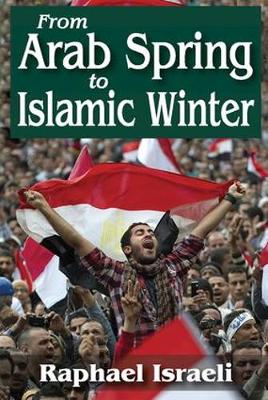 Book cover for From Arab Spring to Islamic Winter