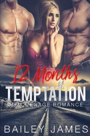 Cover of 12 Months of Temptation