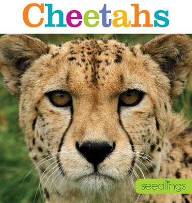 Book cover for Seedlings: Cheetahs