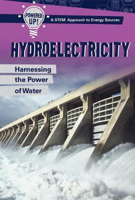 Book cover for Hydroelectricity