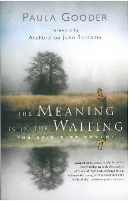 Book cover for The Meaning is in the Waiting