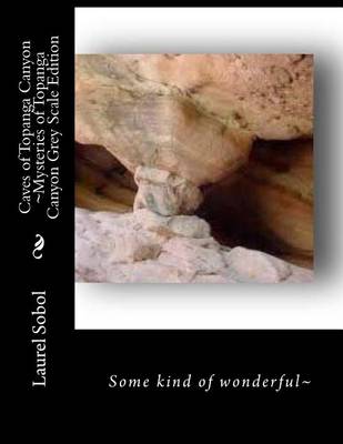 Book cover for Caves of Topanga Canyon Mysteries of Topanga Canyon Grey Scale Edition