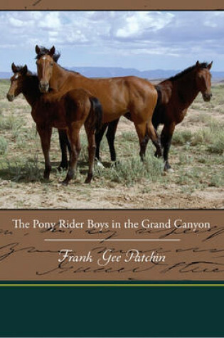 Cover of The Pony Rider Boys in the Grand Canyon