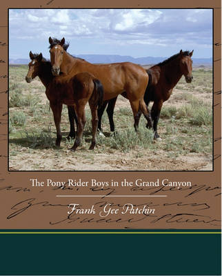 Book cover for The Pony Rider Boys in the Grand Canyon