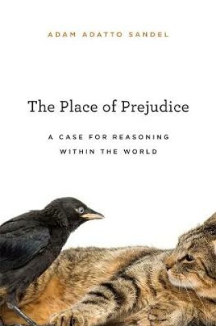 Cover of The Place of Prejudice