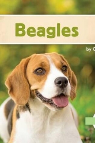 Cover of Beagles