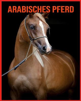 Book cover for Arabisches Pferd