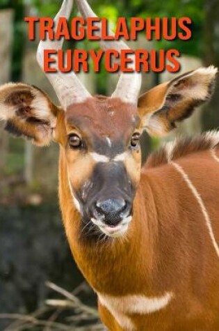 Cover of Tragelaphus eurycerus