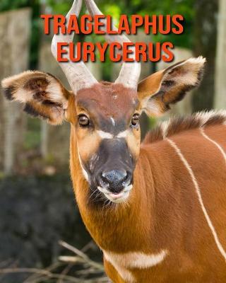 Book cover for Tragelaphus eurycerus