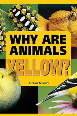 Cover of Why are Animals Yellow?