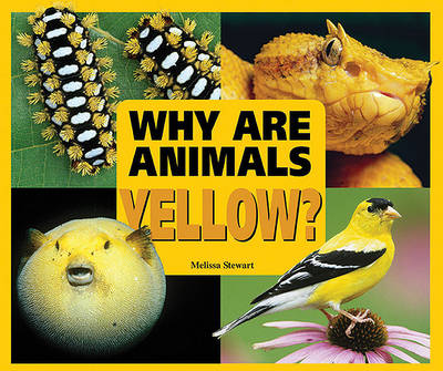 Book cover for Why are Animals Yellow?