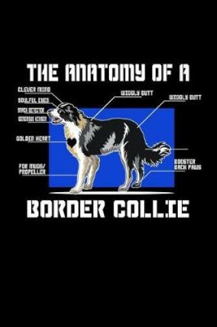 Cover of The Anatomy OF A Border Collie