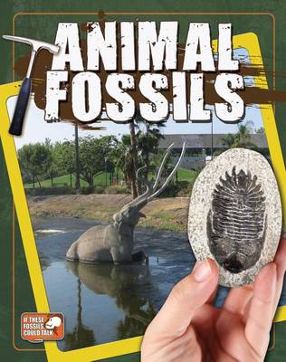 Book cover for Animal Fossils