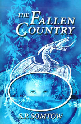 Book cover for The Fallen Country