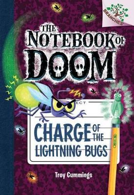 Book cover for Charge of the Lightning Bugs: A Branches Book