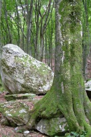 Cover of A Moss Covered Tree in Ticino Forrest Switzerland