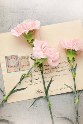 Book cover for Pink Carnations and Old Love Letters Journal