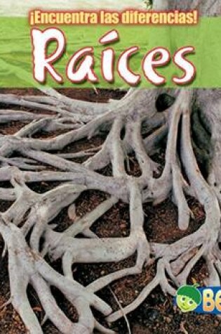 Cover of Raíces