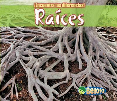 Book cover for Raíces