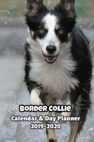 Cover of Border Collie Calendar & Day Planner 2019-2020