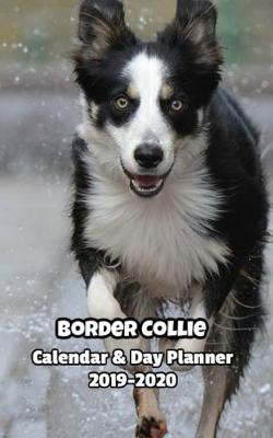 Book cover for Border Collie Calendar & Day Planner 2019-2020