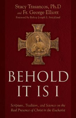 Book cover for Behold It Is I