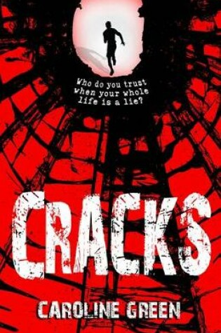 Cover of Cracks