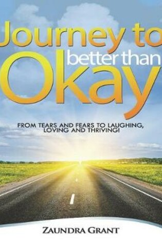 Cover of Journey to Better Than Okay