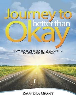 Book cover for Journey to Better Than Okay