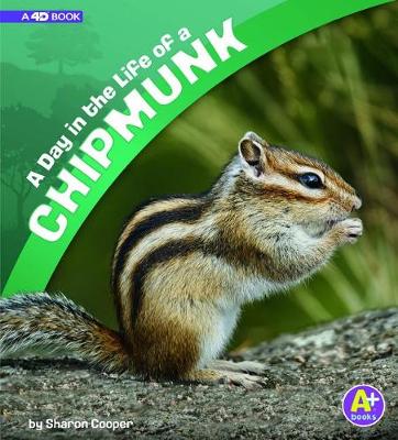 Cover of A Day in the Life of a Chipmunk