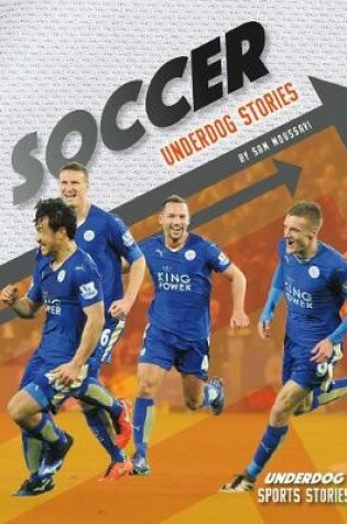 Cover of Soccer Underdog Stories
