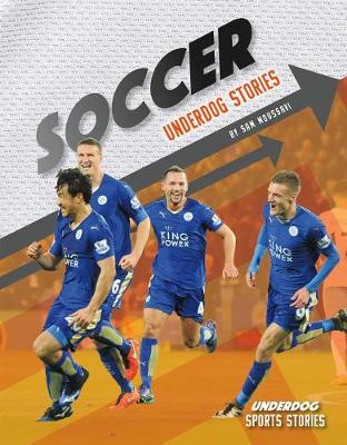 Book cover for Soccer Underdog Stories