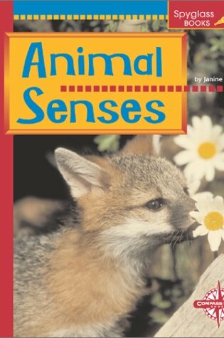 Cover of Animals Senses