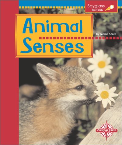 Book cover for Animals Senses