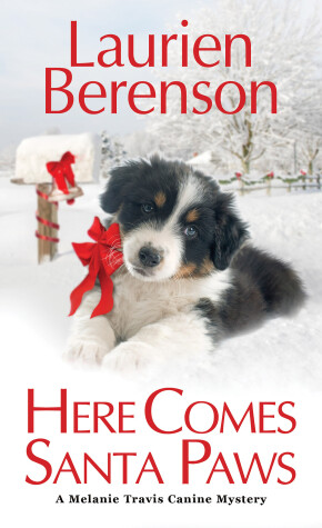 Book cover for Here Comes Santa Paws