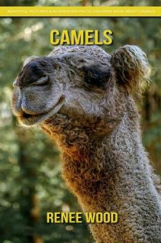 Cover of Camels