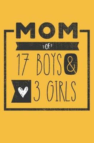 Cover of MOM of 17 BOYS & 3 GIRLS