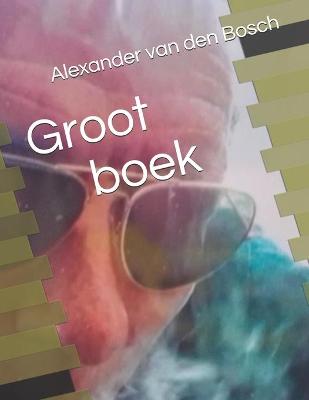 Book cover for Groot boek