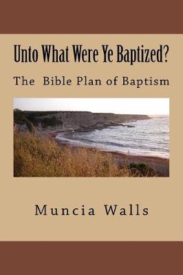 Book cover for Unto What Were Ye Baptized?