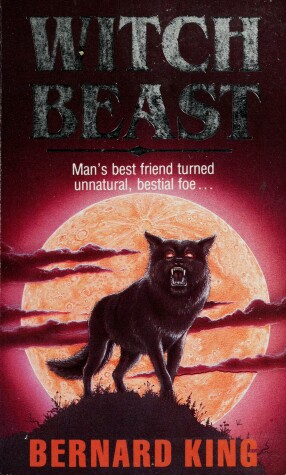 Book cover for Witch Beast