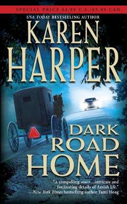 Book cover for Dark Road Home