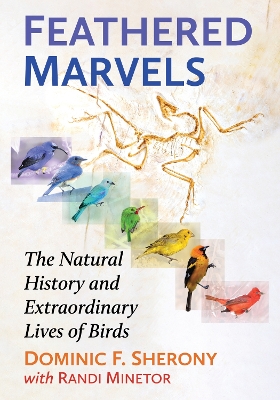 Book cover for Feathered Marvels