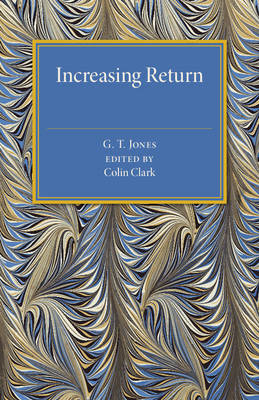 Book cover for Increasing Return