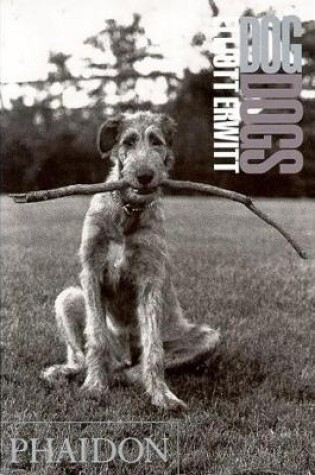 Cover of DogDogs