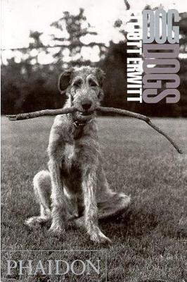 Book cover for DogDogs