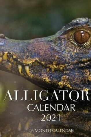 Cover of Alligators Calendar 2021