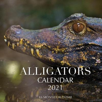 Book cover for Alligators Calendar 2021